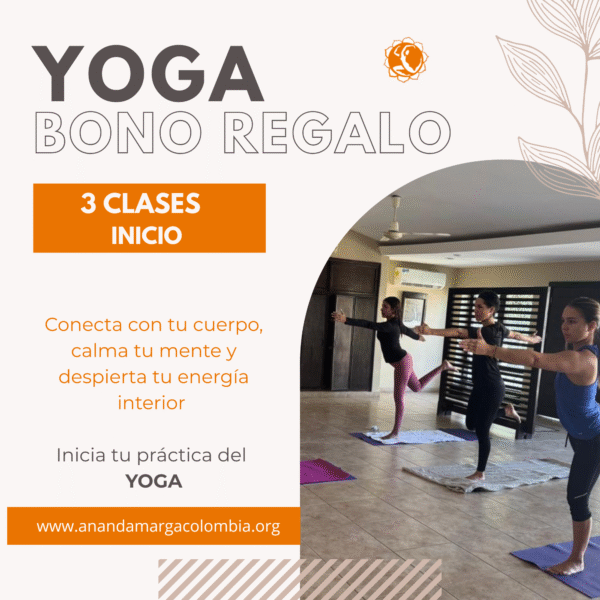 Yoga bono principiantes